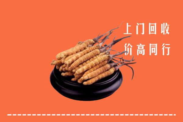 高价求购：运城绛县回收散虫草
