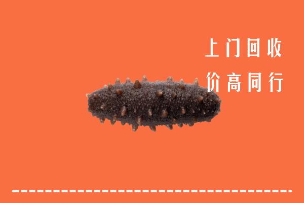 高价求购：运城绛县回收海参