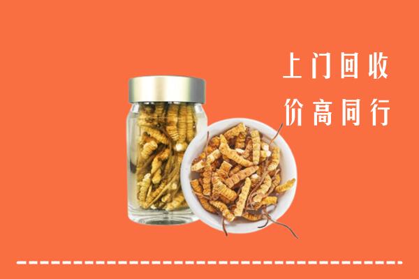 运城绛县回收冬虫夏草