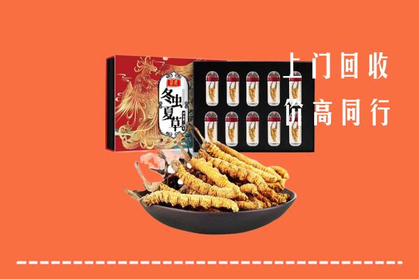 运城绛县回收虫草